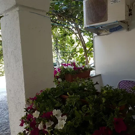 Apartman Luka Vrsar Exterior photo